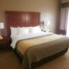 Отель Comfort Inn Naples East I-75, фото 5