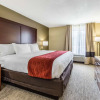 Отель Comfort Inn & Suites Greenwood near University, фото 4
