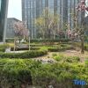 Отель Best Western Hotel (Dongying Guangrao Le'an Street International Expo Center), фото 9