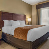 Отель Comfort Suites North Mobile, фото 6