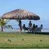 Отель Las Lajas Beach Resort, фото 16