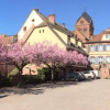 Отель Logis Hôtel du Herrenstein, фото 14