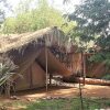 Отель Samburu Riverside Camp, фото 7
