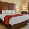 Отель Comfort Inn & Suites, фото 9
