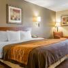 Отель Comfort Inn, фото 7
