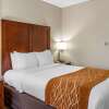 Отель Comfort Inn Syosset - Long Island, фото 35