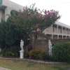 Отель Cactus Inn and Suites, фото 12