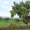 Отель Farmhouse in Giano Dell'umbria with Hot Tub, Swimming Pool, фото 1