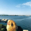 Отель Lakeview Park Resort - Wuxi, фото 13