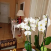 Отель B&B La Villetta, фото 6