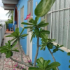 Отель Posada Isabel, фото 9