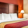 Отель Comfort Inn & Suites, фото 4