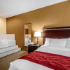 Отель Comfort Suites Florence - Cincinnati South, фото 2