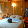 Отель Mt Baker Lodging Cabin 53 - Sleeps 6, фото 2