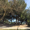 Отель Agriturismo Dimina, фото 11