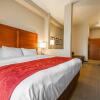 Отель Comfort Suites Redding - Shasta Lake, фото 5