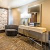 Отель Comfort Inn & Suites, фото 4