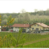 Отель Weingut Ringwald, фото 3