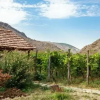 Отель Nika Vacheishvili's guest house, фото 13