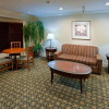 Отель Staybridge Suites Indianapolis-Airport, an IHG Hotel, фото 15
