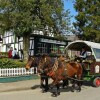 Отель Restaurant Ponyhof в Виле