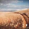 Отель Namib Desert Camping2Go, фото 10