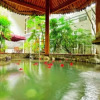Отель Emei Paradise Hot Spring Holiday Hotel, фото 5