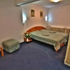 Отель Pensiunea Seven Star, фото 3