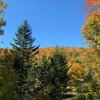 Отель Lodge Nature Laurentides, фото 15