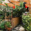 Отель Capital O 89374 Ohana Restaurant & Homestay, фото 12