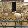 Отель Agriturismo Duca Di San Martino, фото 1