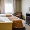 Отель Comfort Suites Round Rock - Austin North I-35, фото 3
