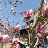 Отель Pulu Inn, фото 20