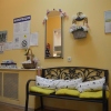 Хостел Joy , фото 12