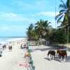 Отель Cabañas Vacacionales En Palomino Guajira, фото 12