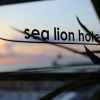 Отель Sea Lion Hotel, фото 32