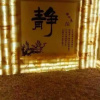 Отель Jinyangguang Holiday Hotel, фото 4