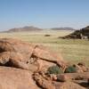 Отель Namib Naukluft Lodge, фото 17