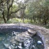 Отель The Bri Bri House at Juan Manuel National Park, Rustic but Nice, фото 10