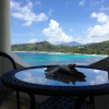 Отель Lazare Picault Hotel, фото 21