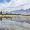 Отель The Ladakh Summer Camp, фото 10