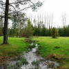 Отель Smultronboda Fårgård, фото 11