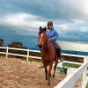 Отель A Cottage with a View at Tudor Ridge, фото 9