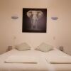 Отель Domaine Des Elephants, фото 5