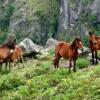 Отель Casa de Sistelo - Turismo Rural Gerês, фото 10