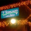 Отель Flamingo Suites Tucson, фото 5