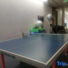 Отель Wushe Xiaoshu Hostel, фото 5