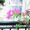 Отель Paragon Saigon 2, фото 10