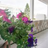 Отель Sonia's Angel House 300 Meters From The Beach, Newly Renovate Central Apartment By Ezoria Holiday Re, фото 15