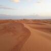 Отель Alsarmadi Desert Camp, фото 29